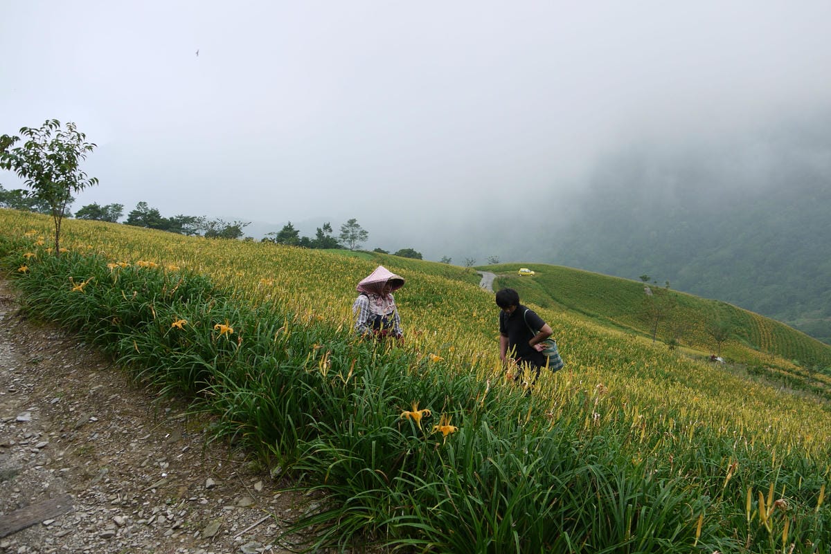 P1100521.JPG