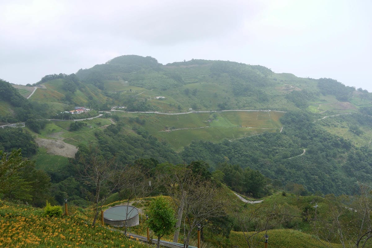 P1100391.JPG