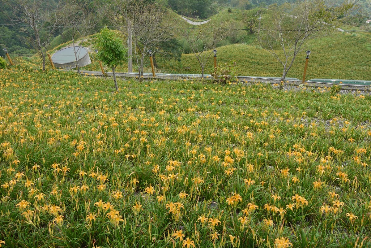 P1100390.JPG