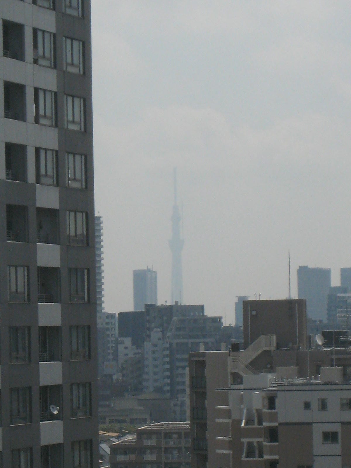 0015.JPG 0015.JPG