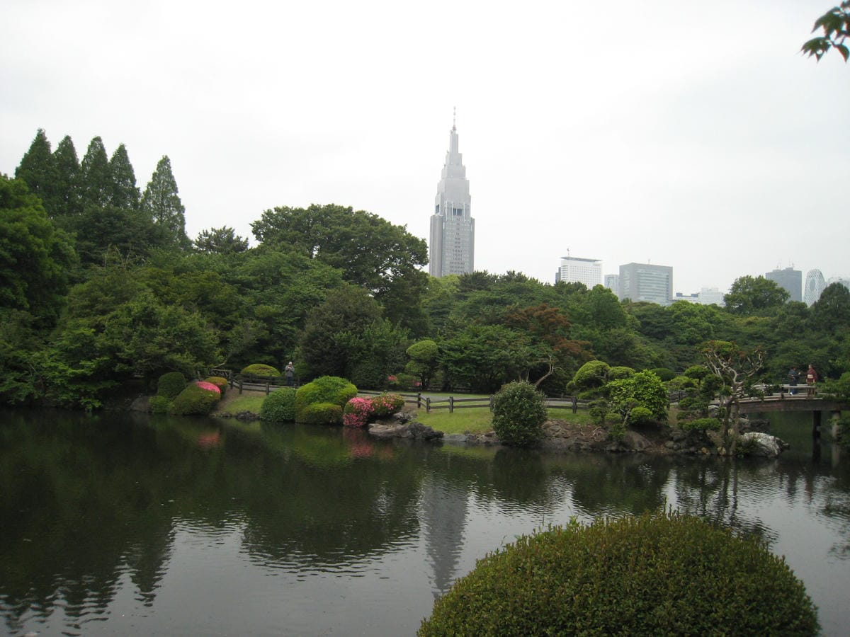 0024.JPG 0024.JPG