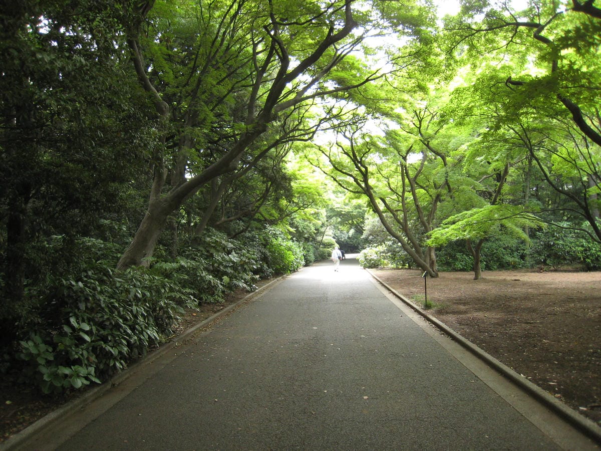 0019.JPG 0019.JPG
