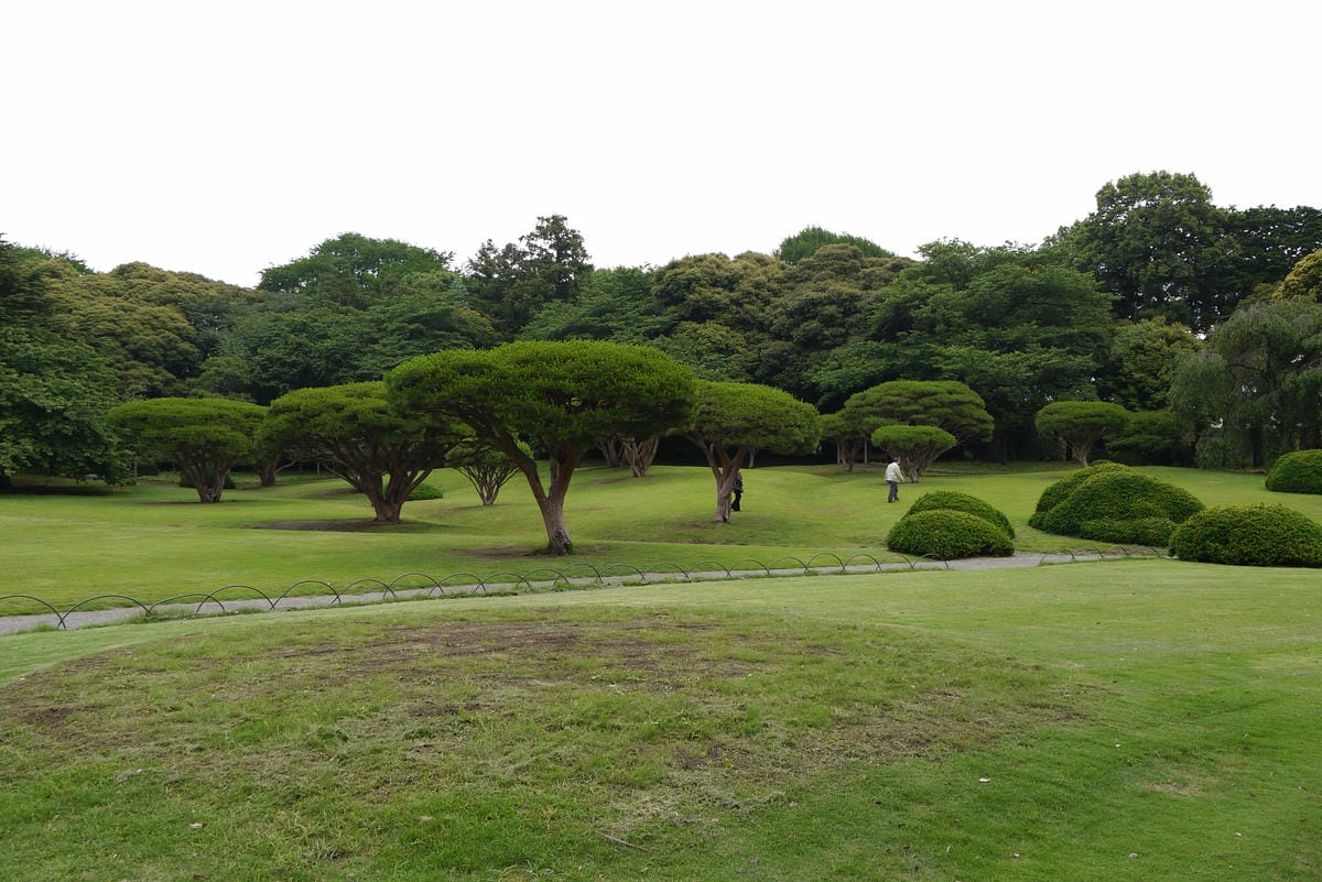 0030-1.JPG 0030-1.JPG