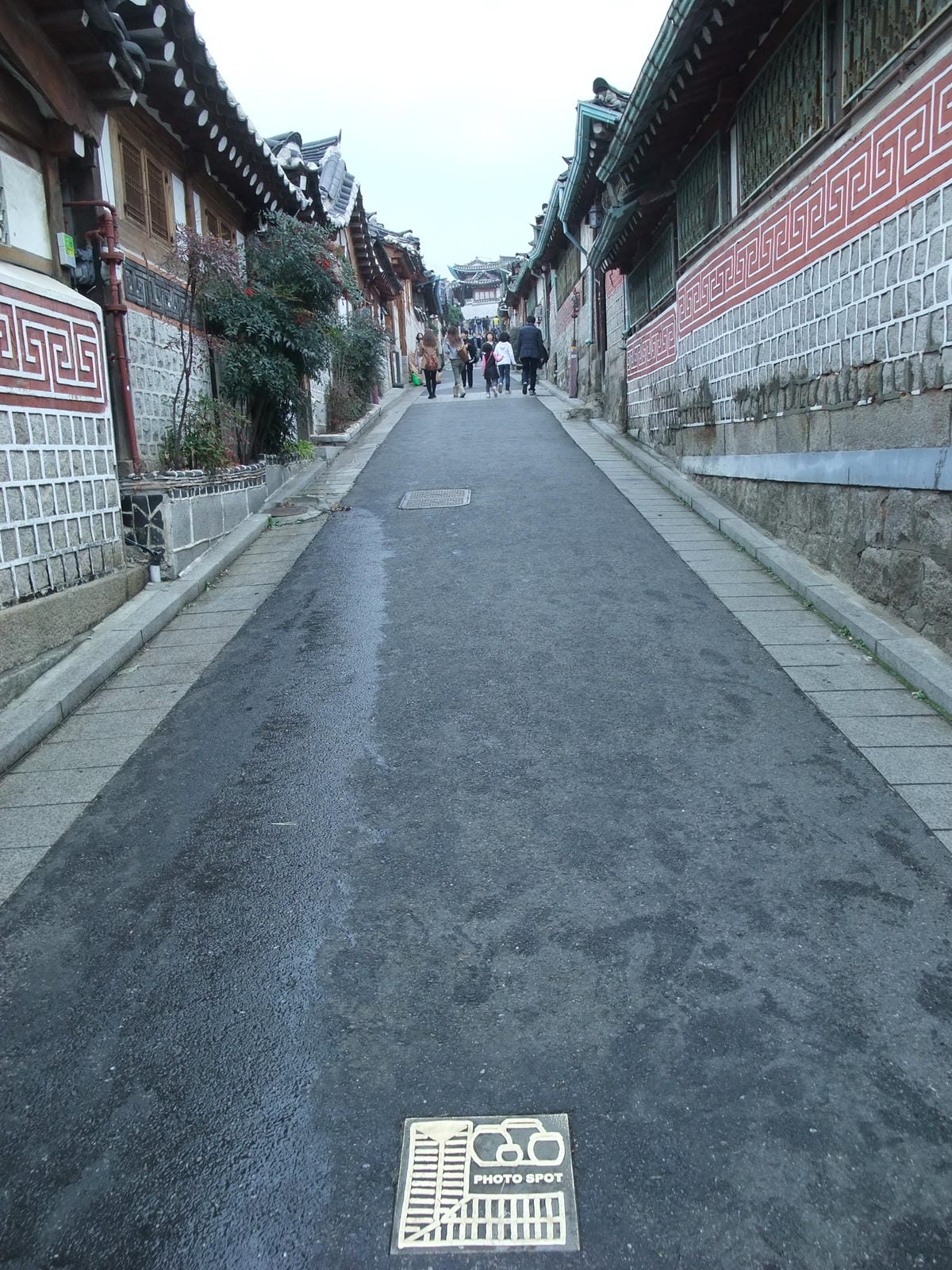 0049-3.JPG 0049-3.JPG