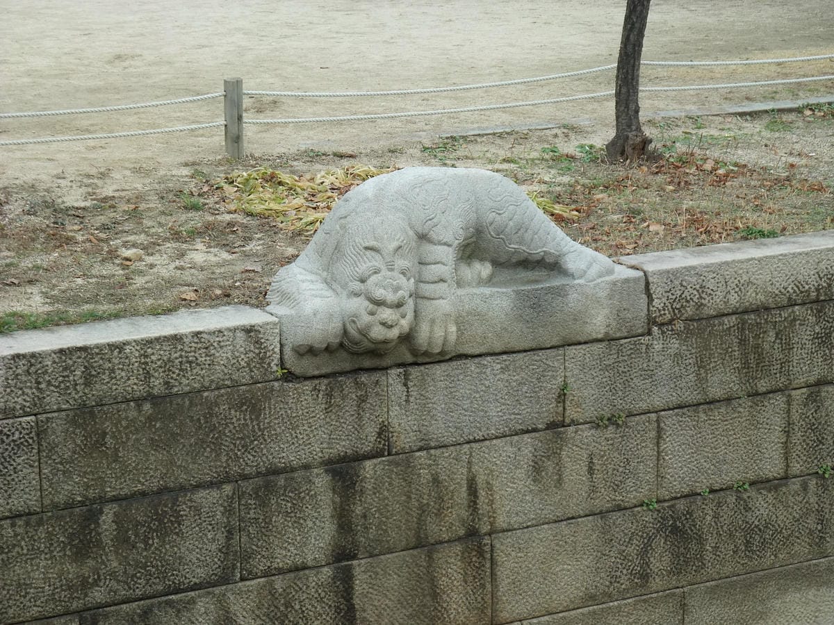 0023.JPG 0023.JPG