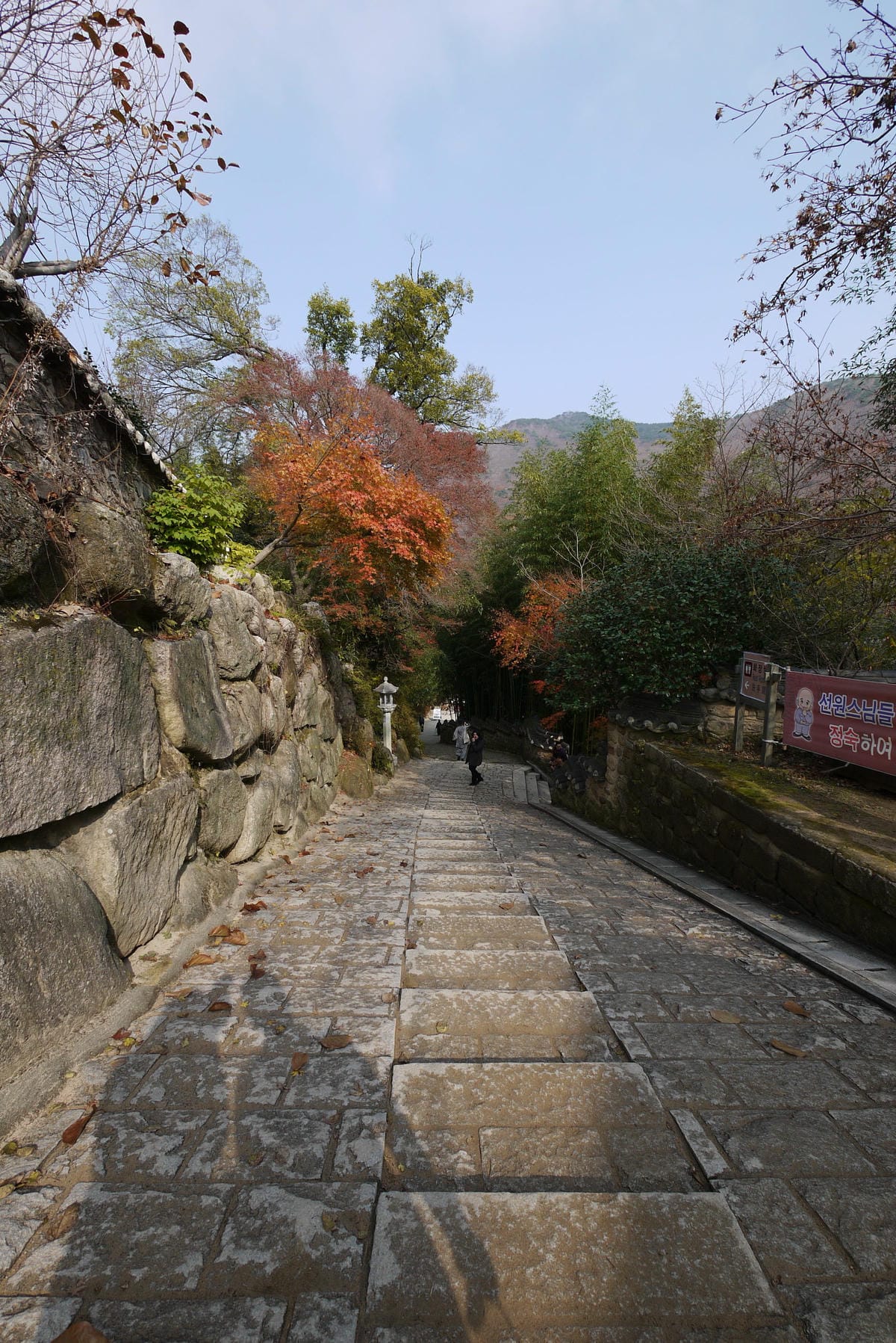 0141.jpg 0141.jpg