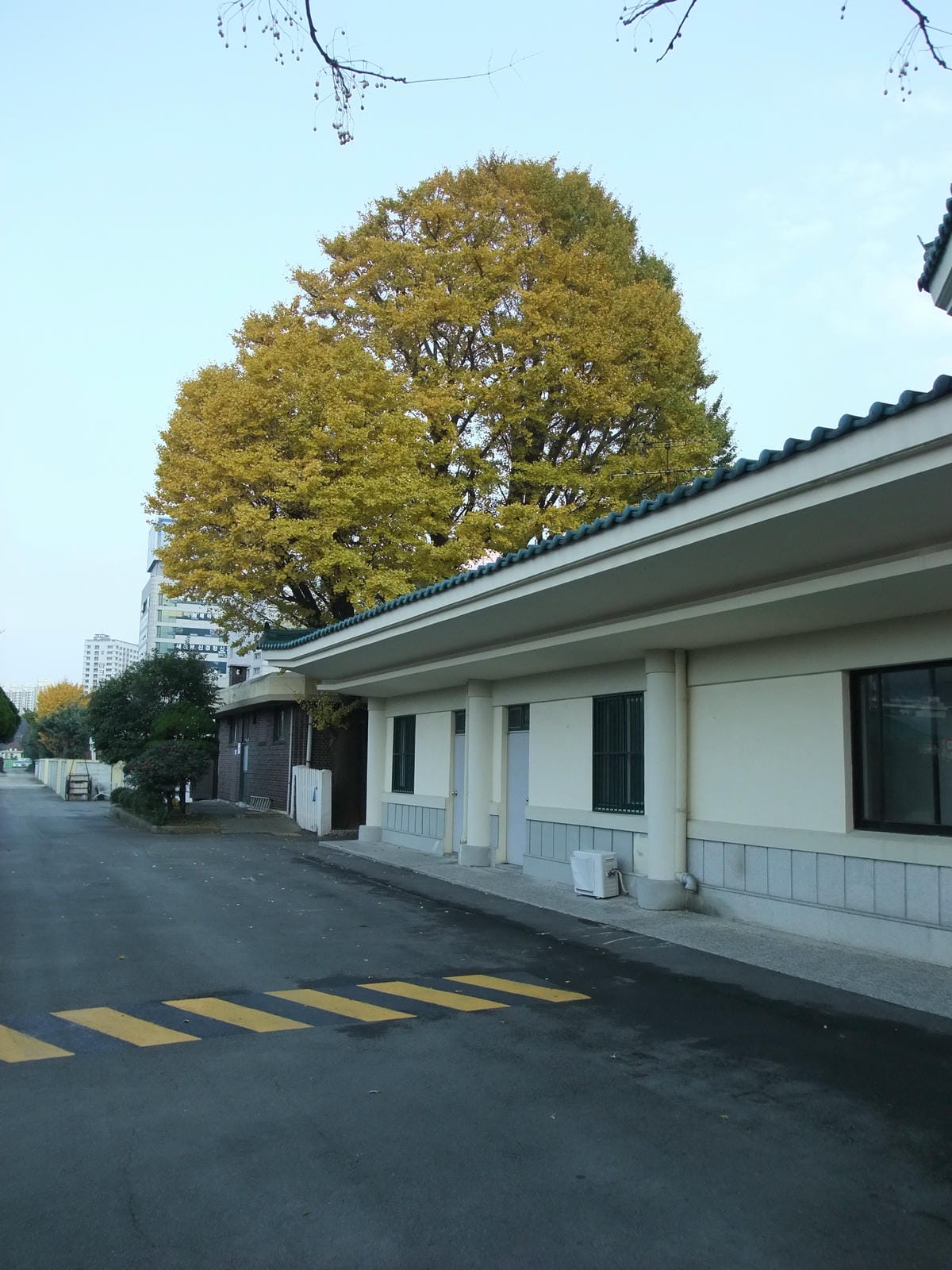 0013.jpg 0013.jpg
