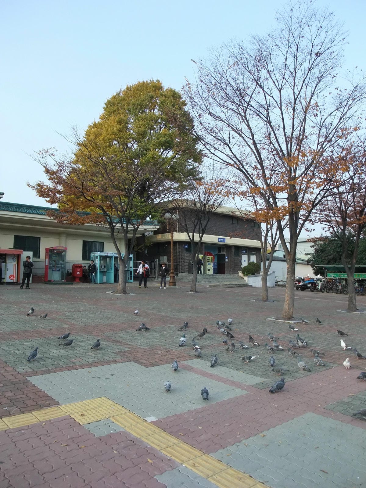 0001.jpg 0001.jpg