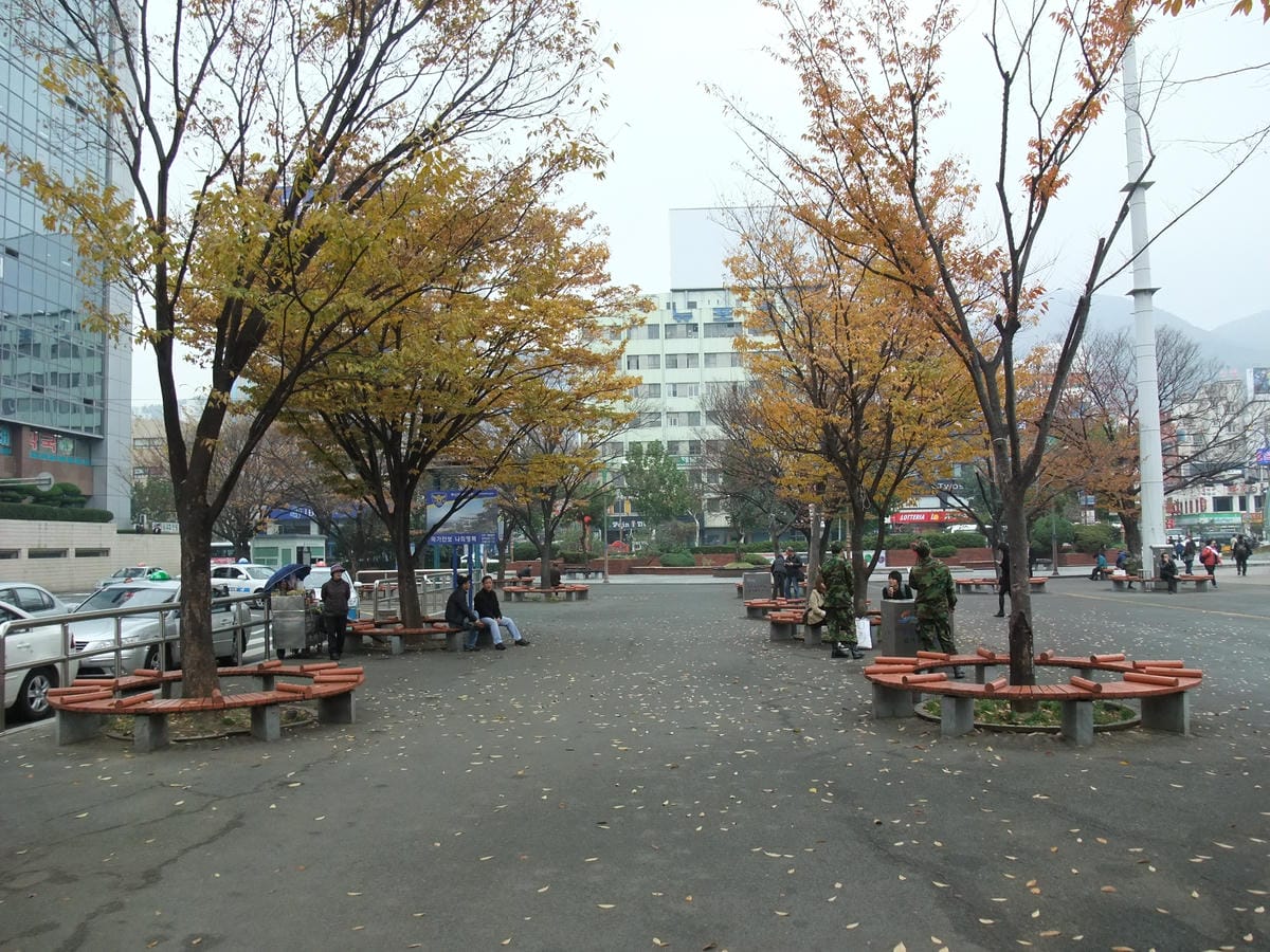 0027.JPG 0027.JPG