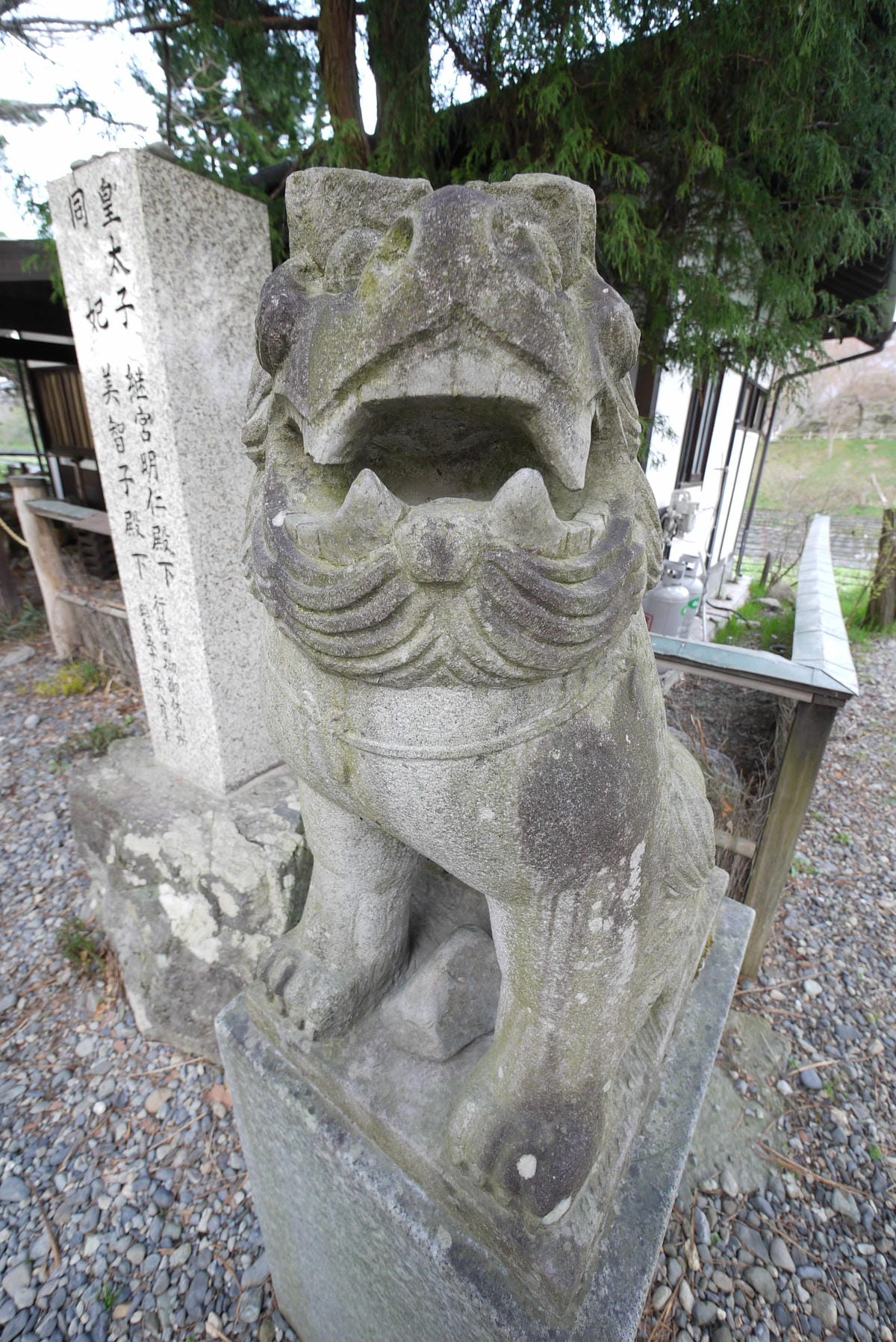 P1130475