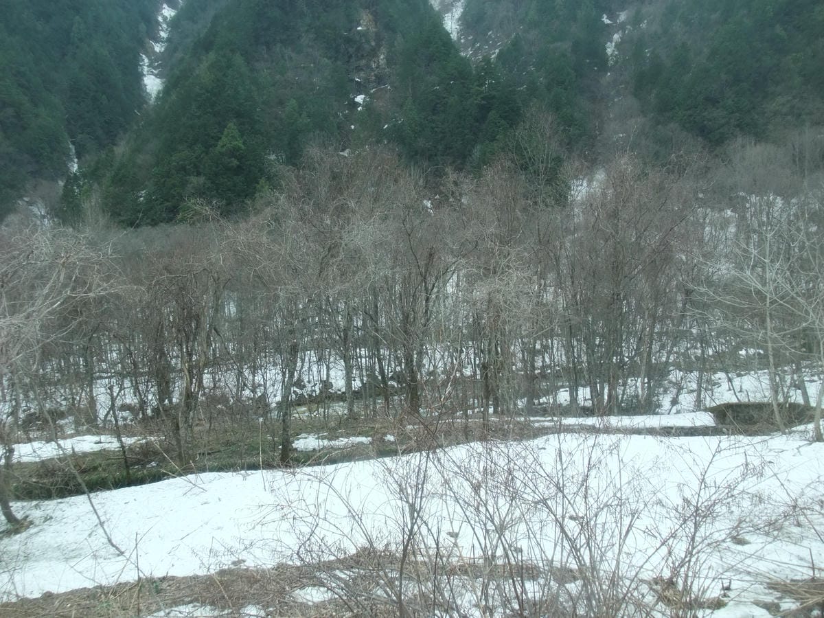DSCF0880