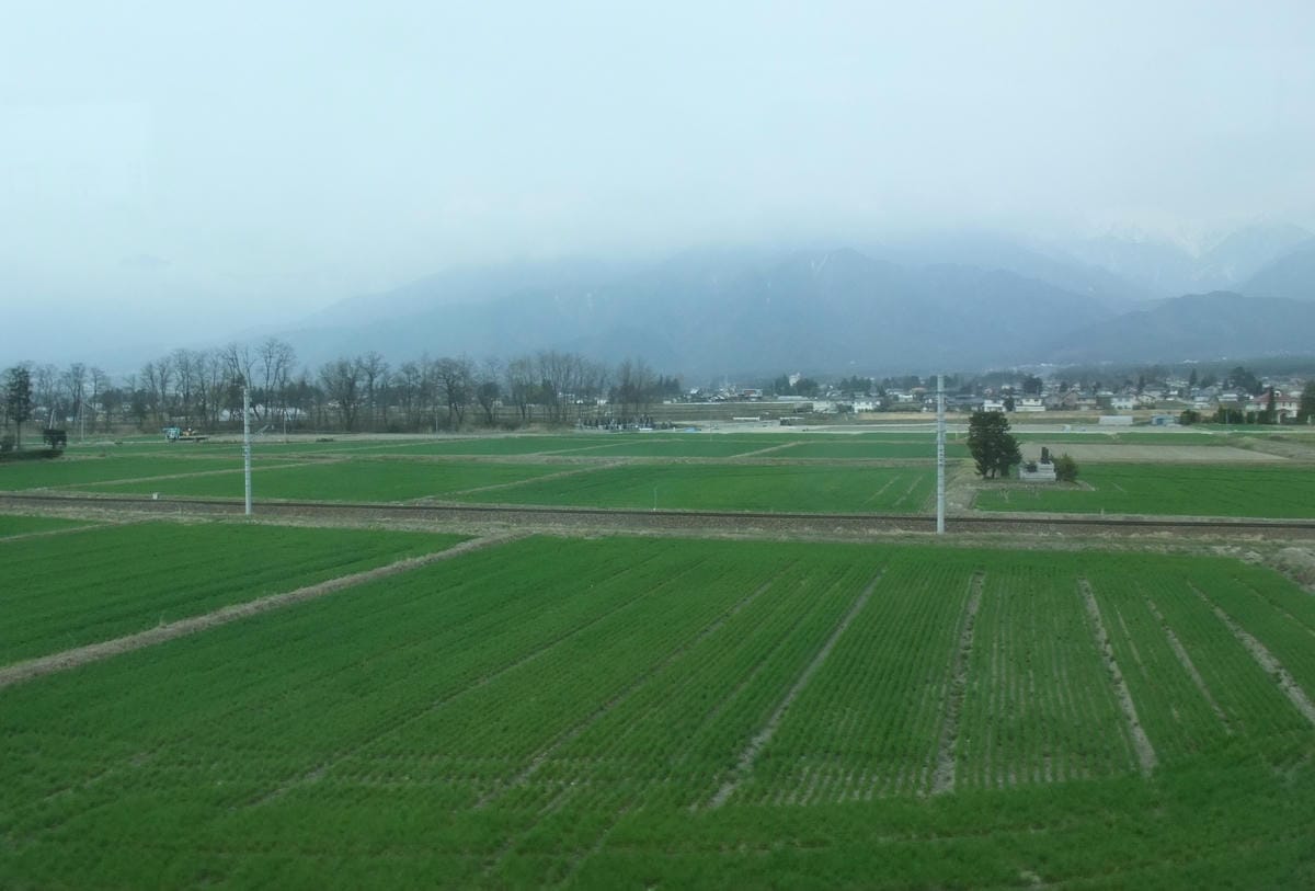DSCF0877