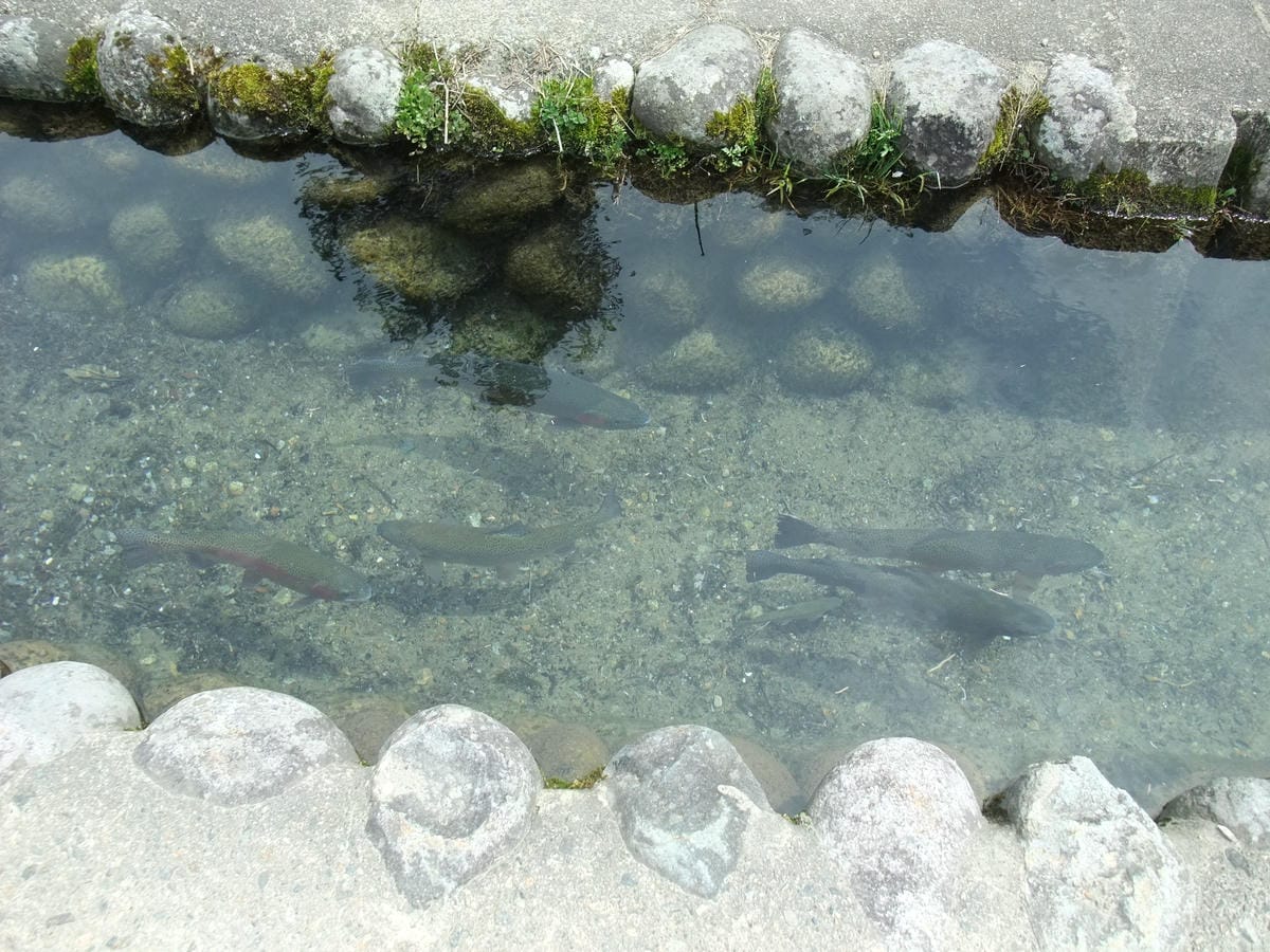 DSCF1420-2
