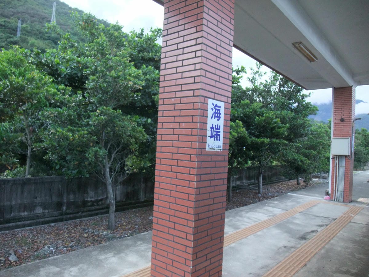 DSCF2609
