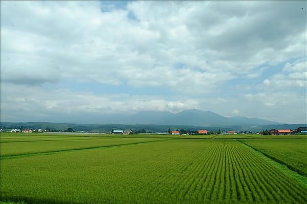 Sanjeff 鐵道旅記 Sanjeff 鐵道旅記