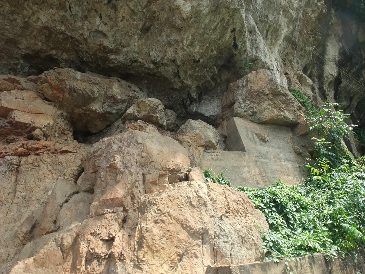 DSCF4624