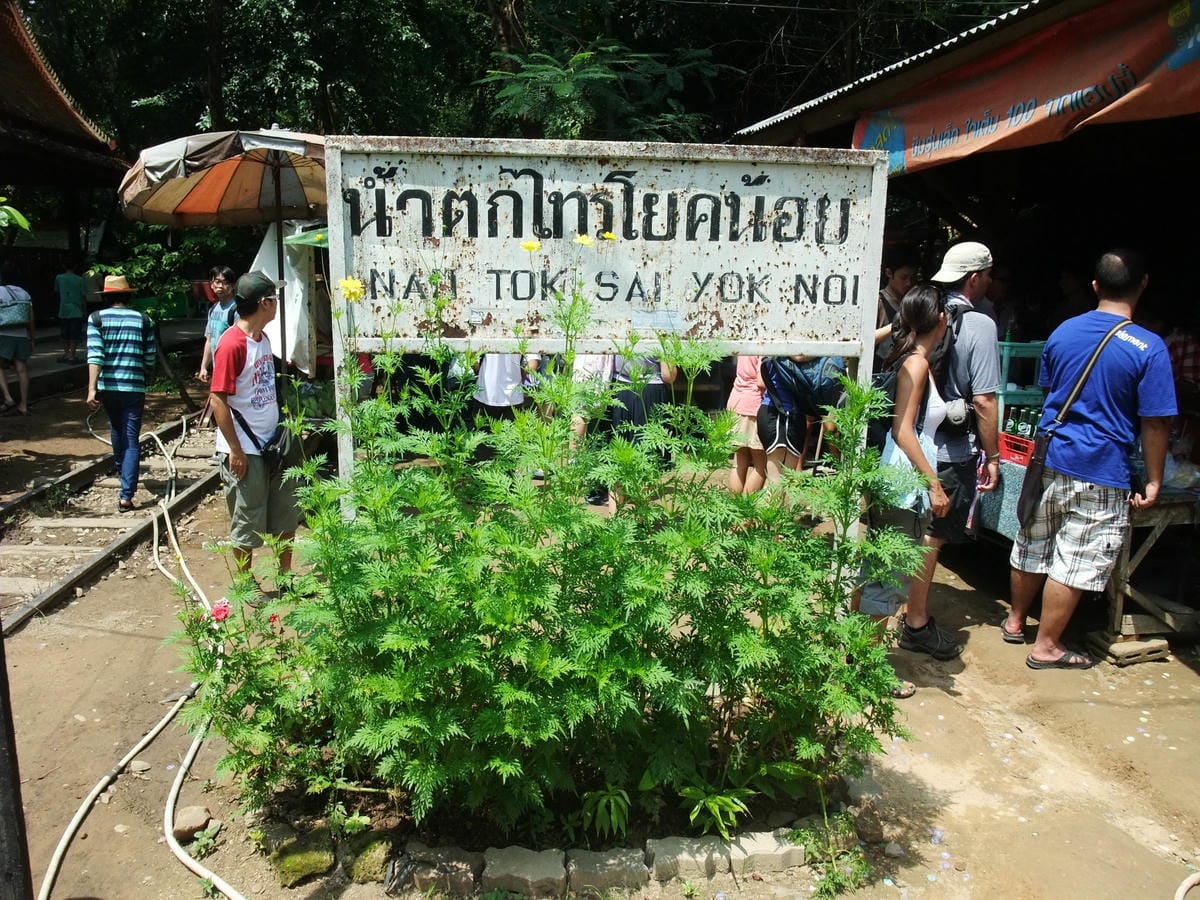 DSCF4735