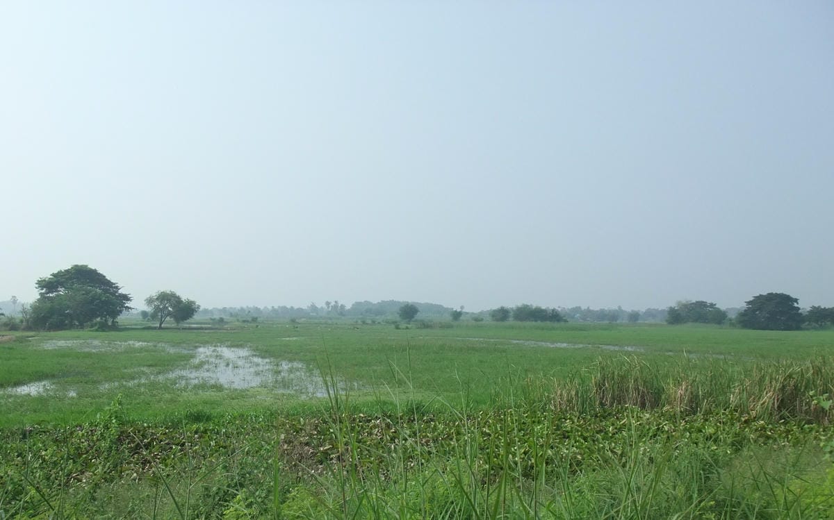 DSCF4558