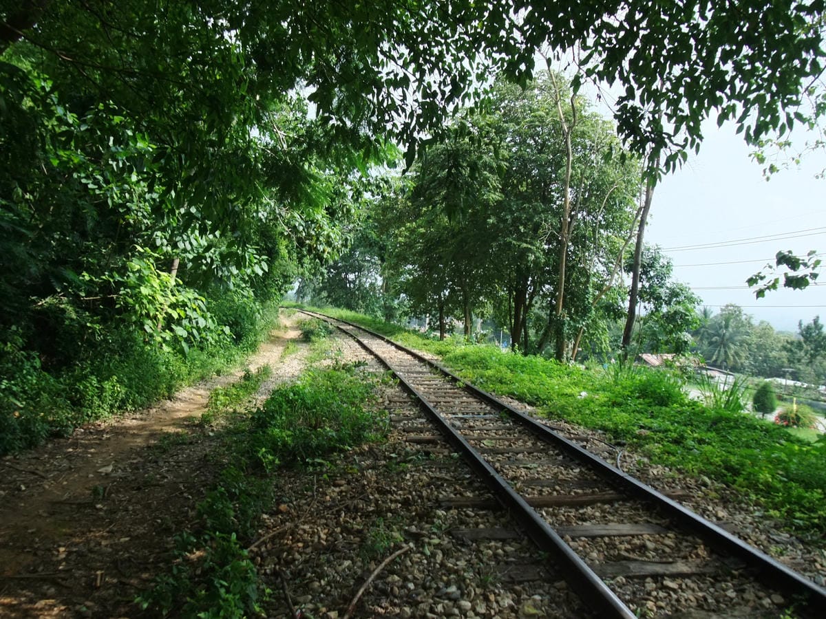 DSCF4683