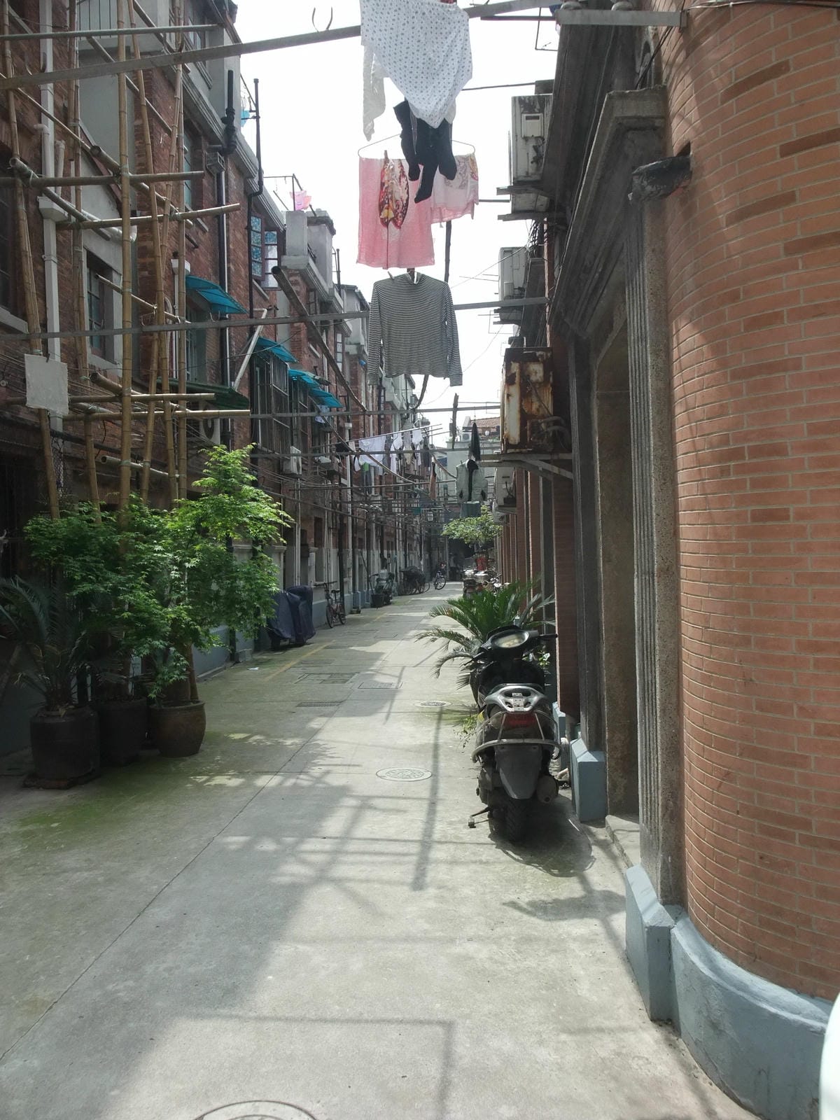 DSCF9787-1