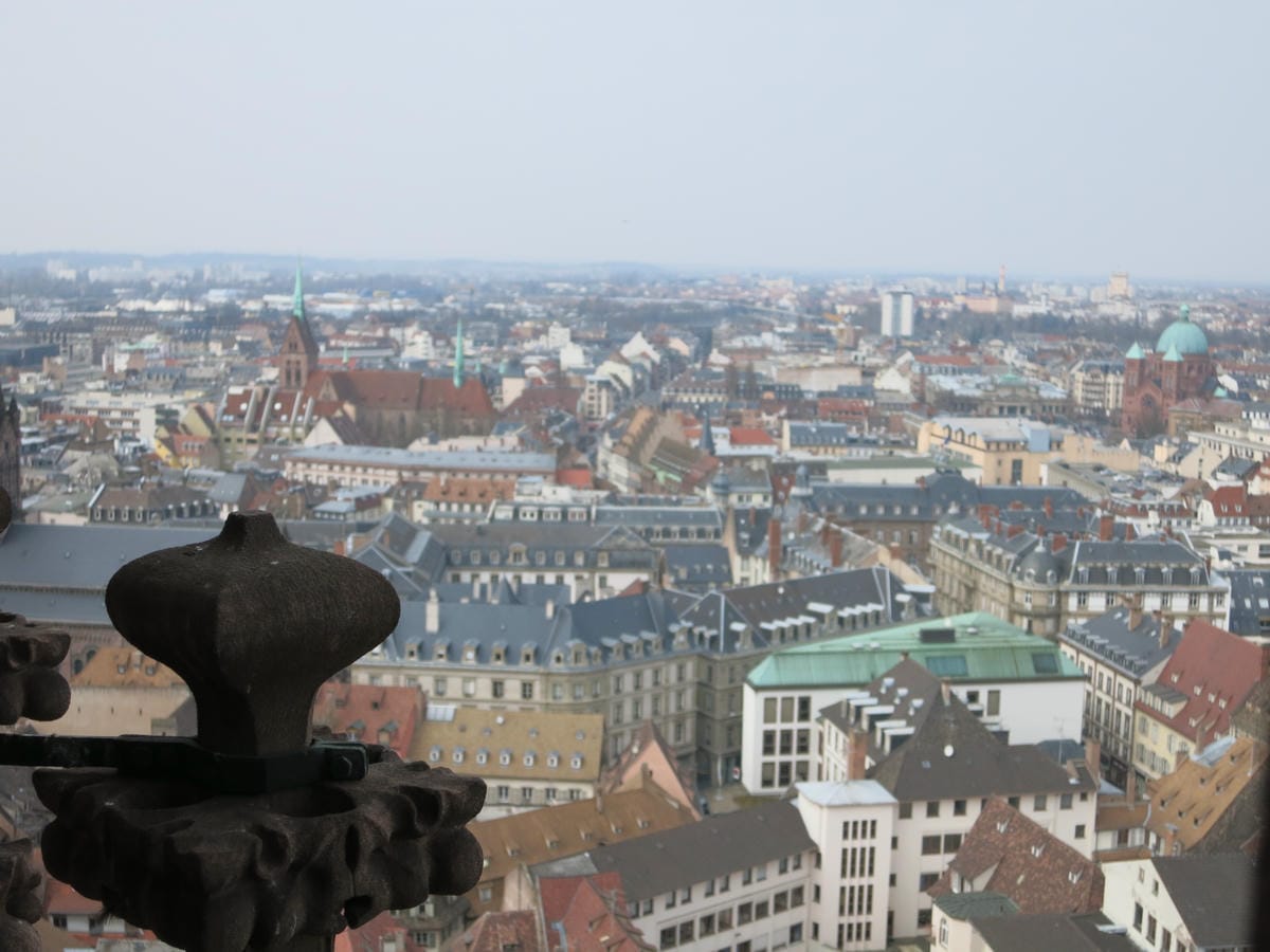 IMG_1830