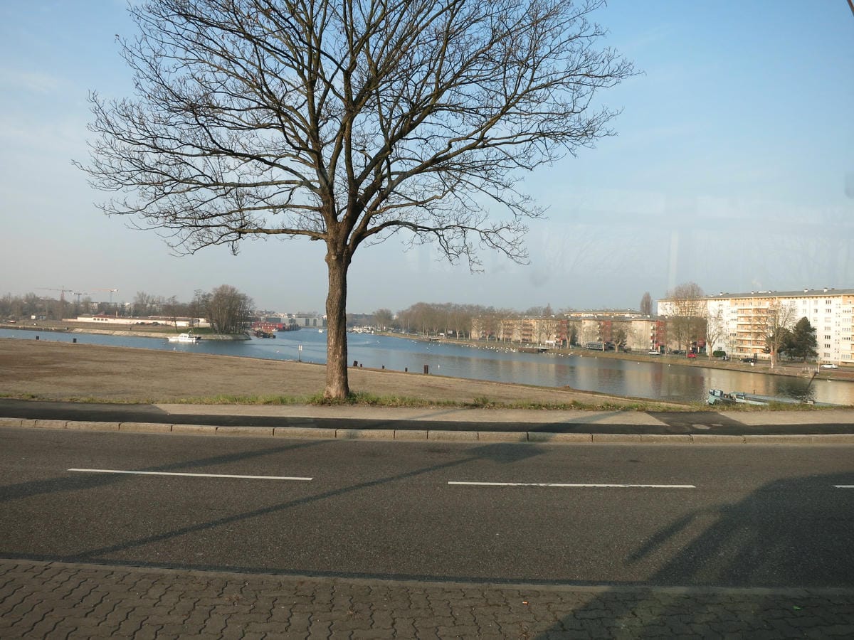 IMG_2669 IMG_2669