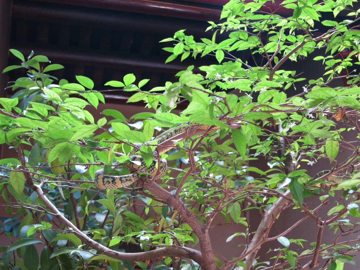 IMG_0378 IMG_0378