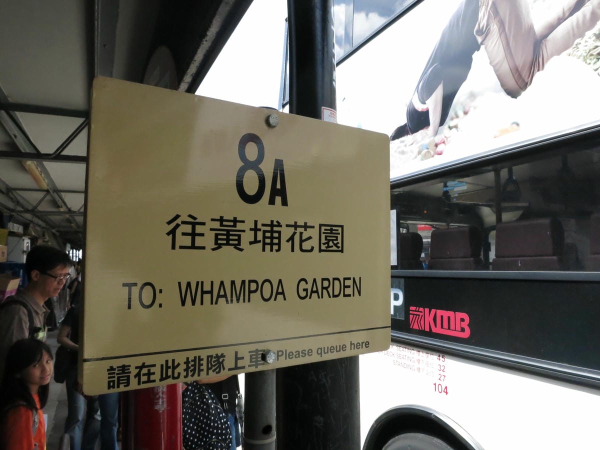 IMG_0817 IMG_0817