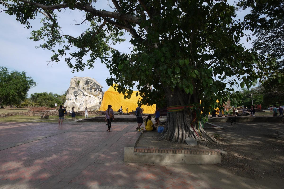 P1190499