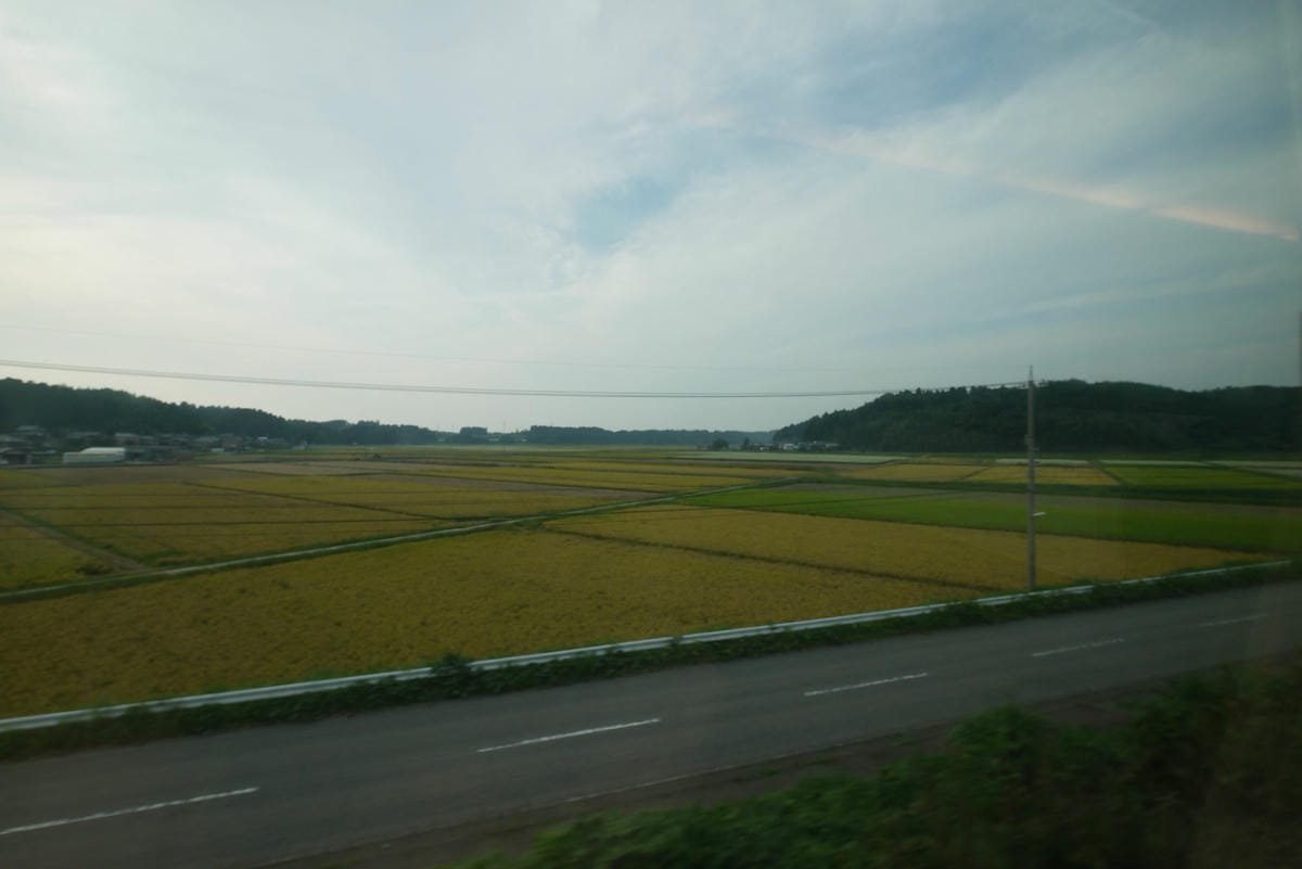 P1230192.JPG