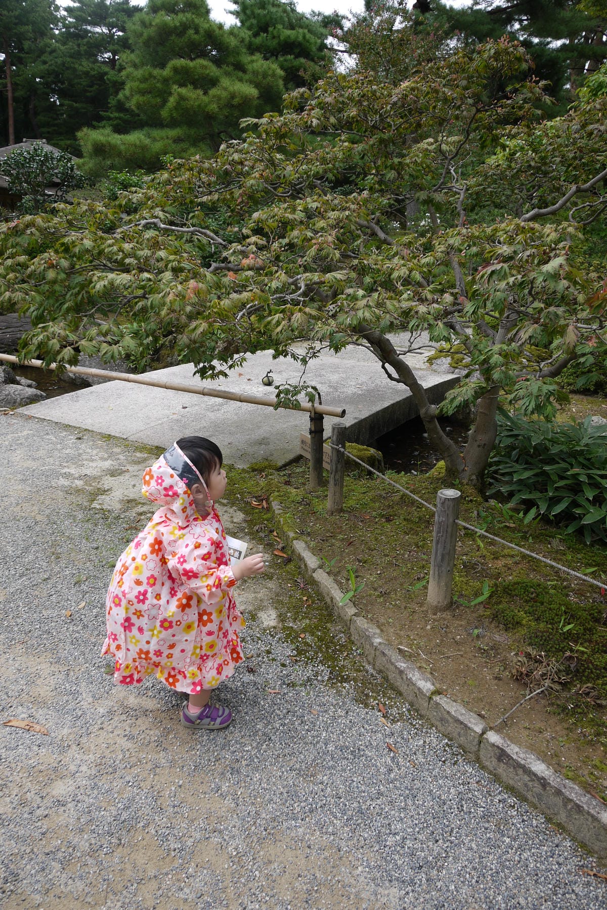 P1230532.JPG P1230532.JPG