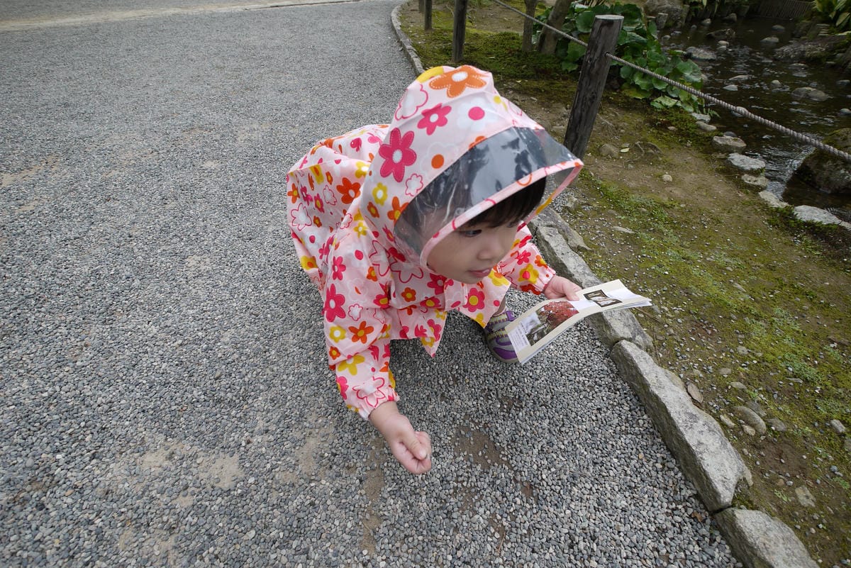 P1230529.JPG P1230529.JPG