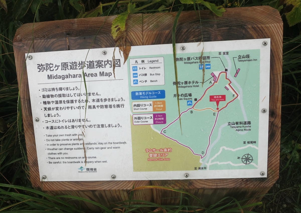IMG_0122.JPG IMG_0122.JPG