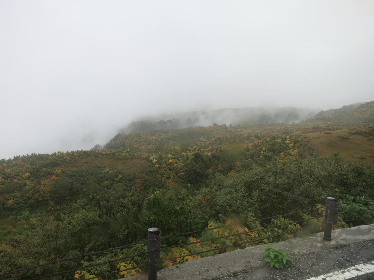 IMG_0104.JPG IMG_0104.JPG