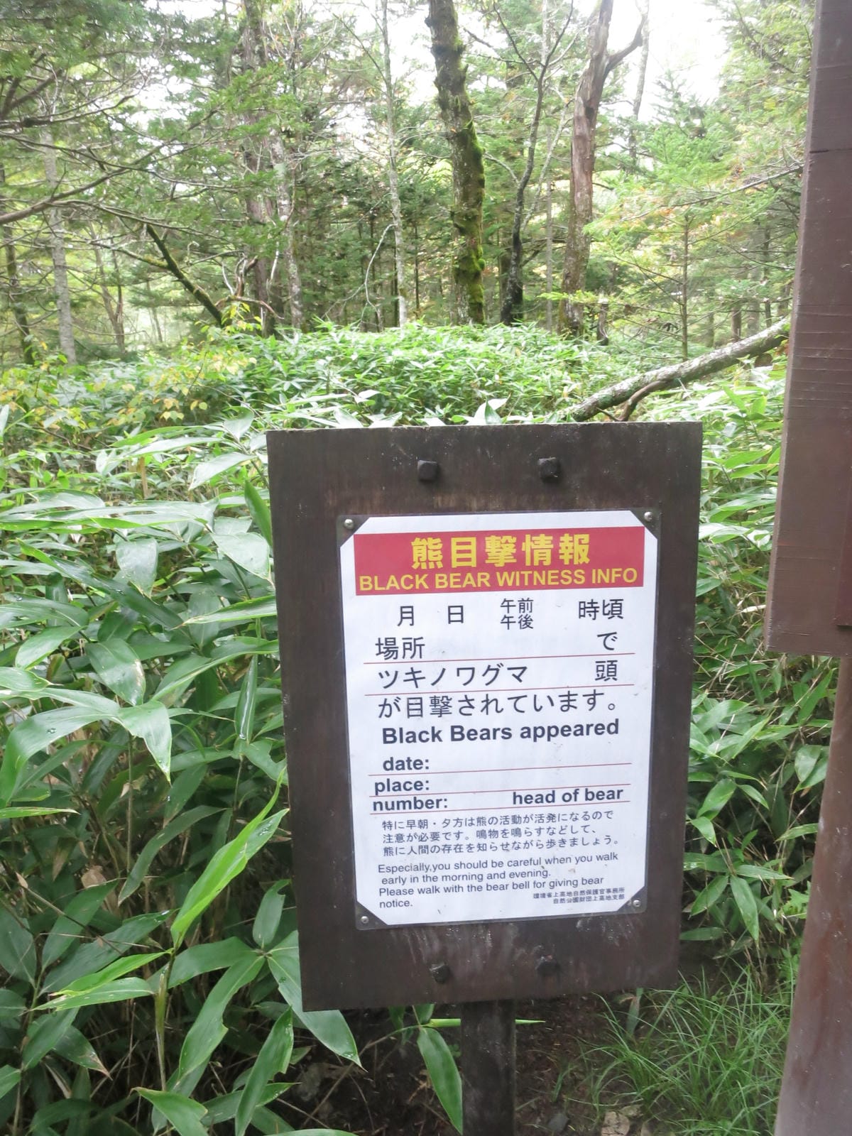 IMG_0527.JPG IMG_0527.JPG