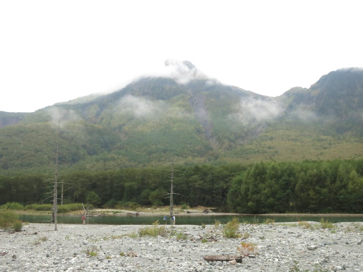IMG_0554.JPG IMG_0554.JPG