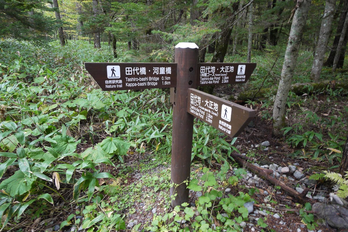 IMG_0529.JPG IMG_0529.JPG