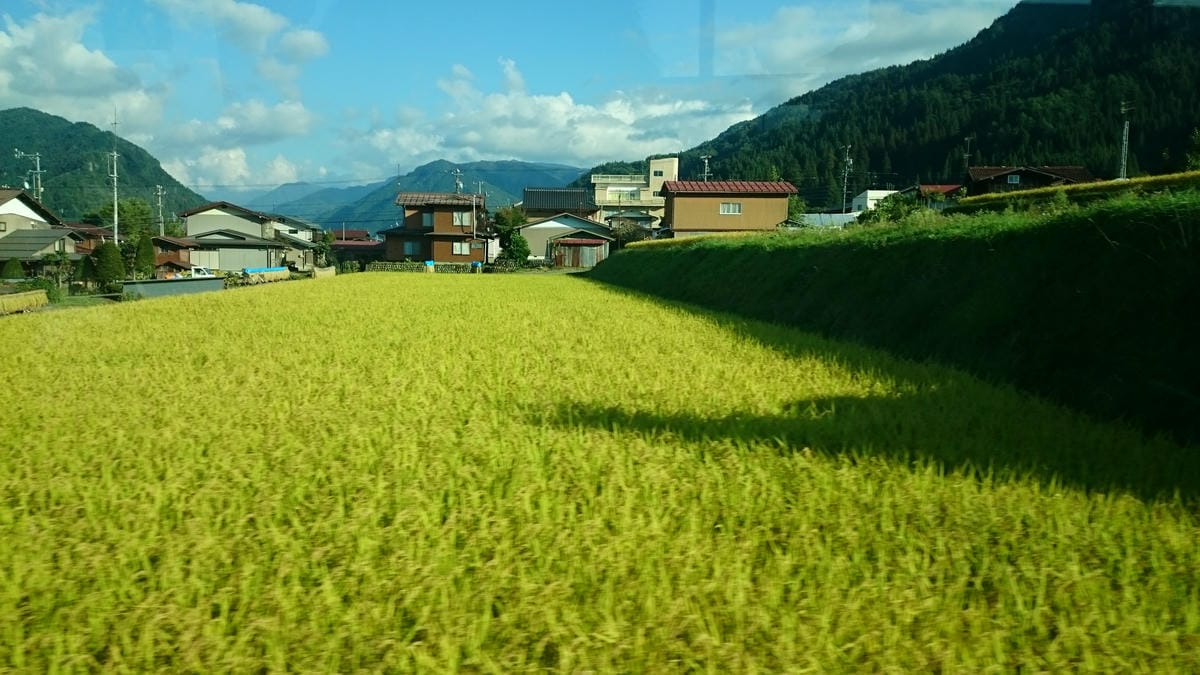 15.JPG 15.JPG