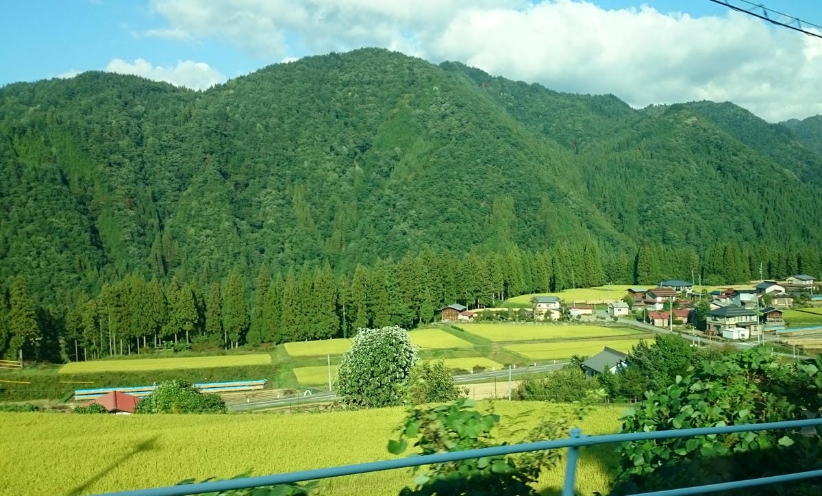 16.JPG 16.JPG