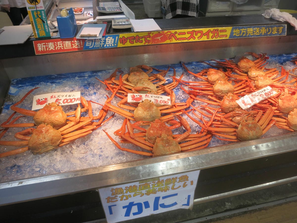 IMG_0781.JPG IMG_0781.JPG