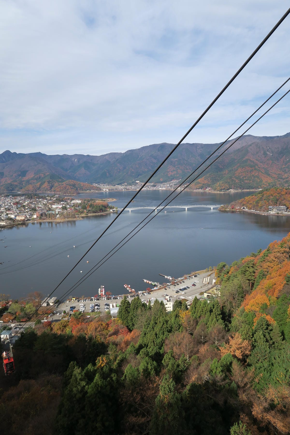 IMG_0778 IMG_0778