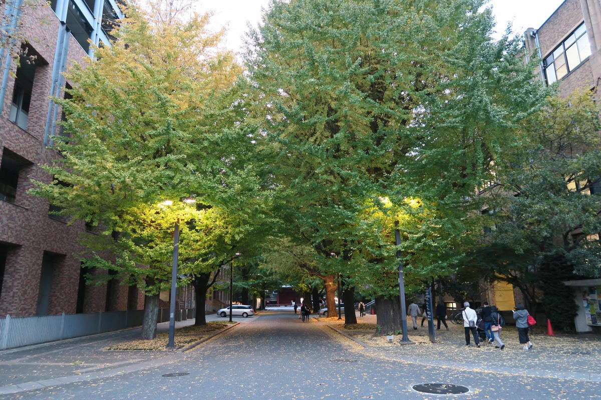 0021.JPG 0021.JPG