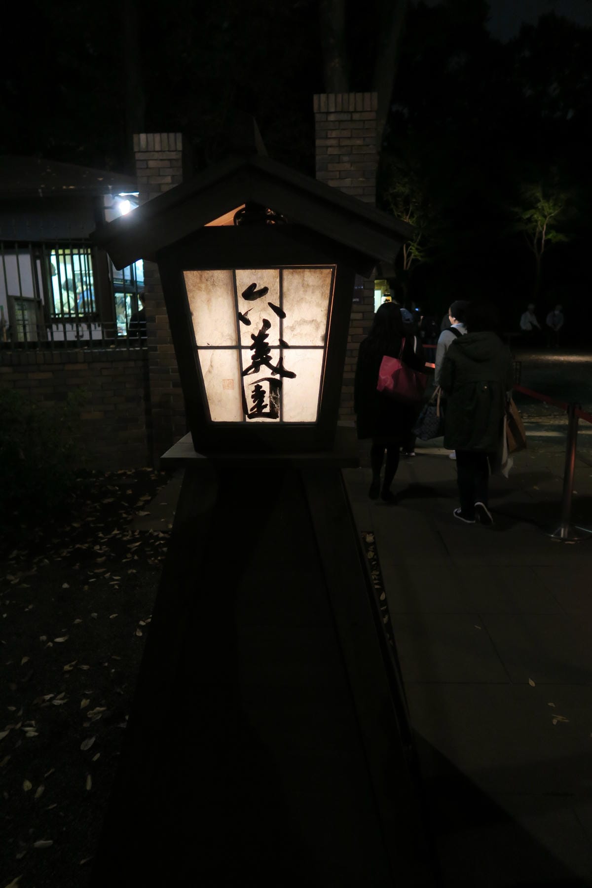 0019.JPG 0019.JPG