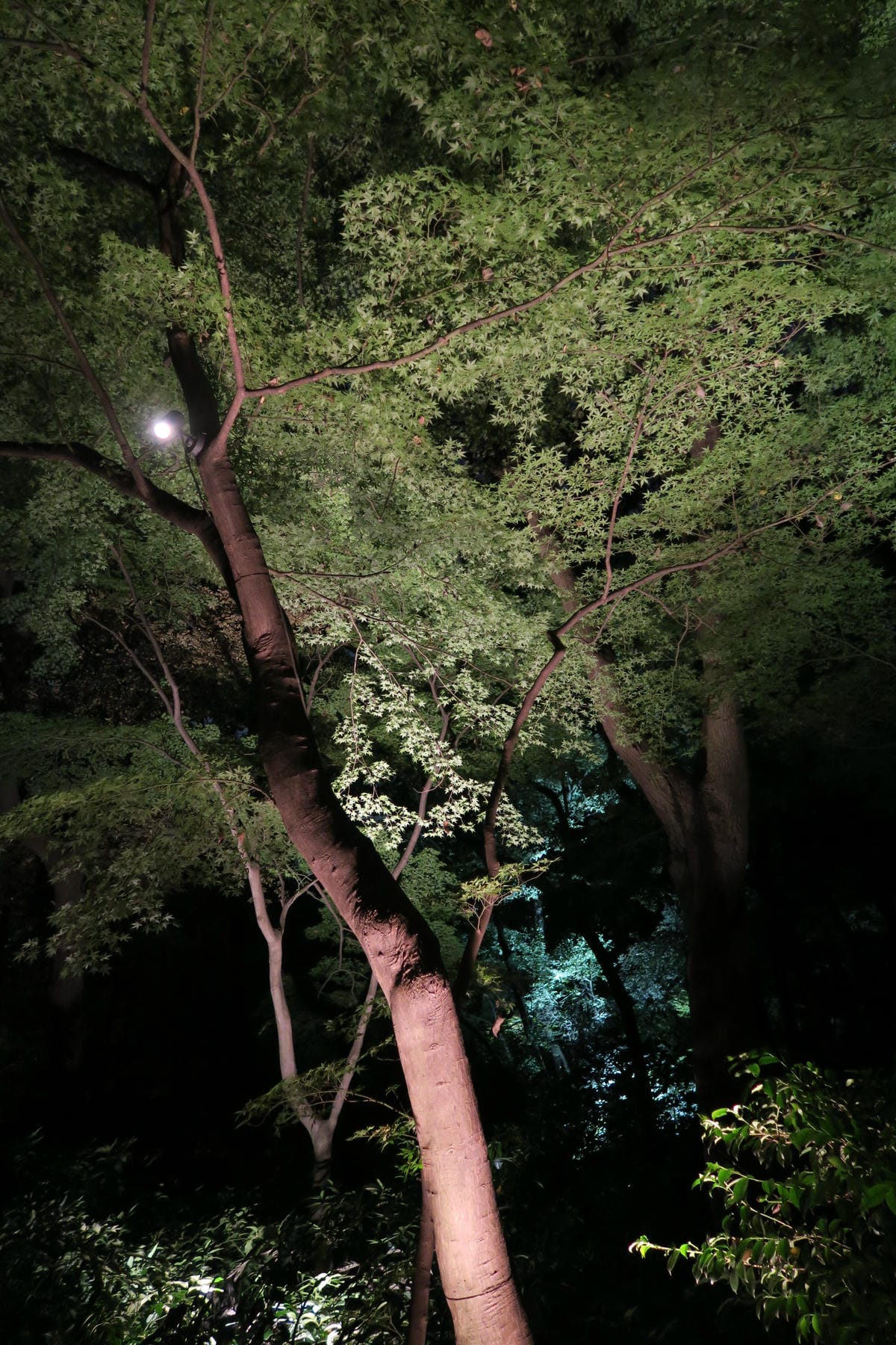 0024.JPG 0024.JPG
