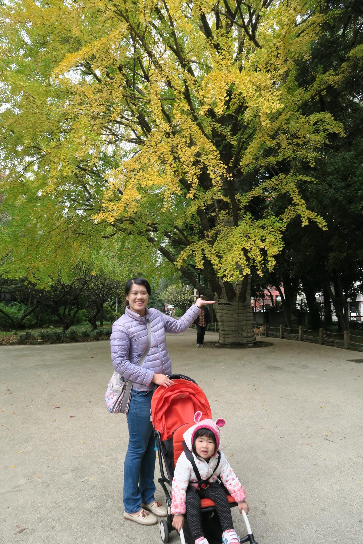 IMG_1084 IMG_1084