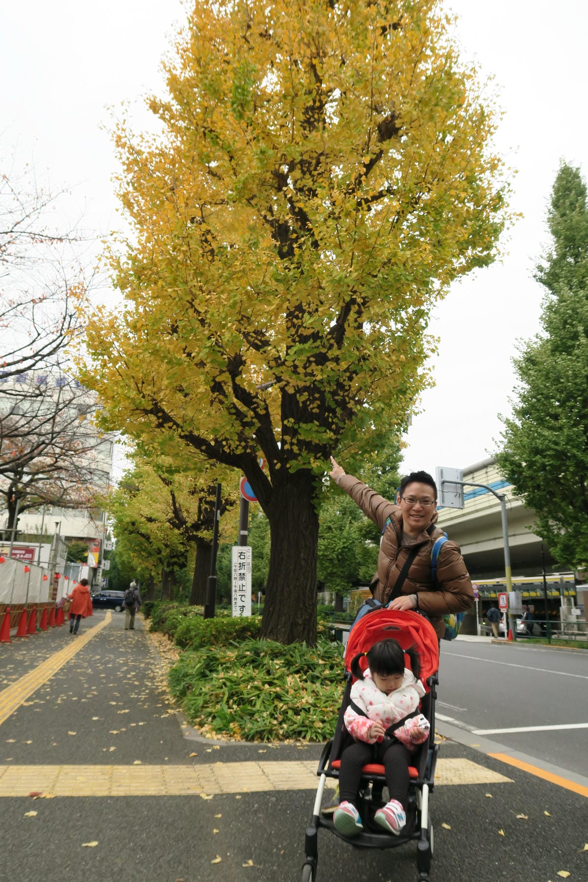 IMG_1209 IMG_1209