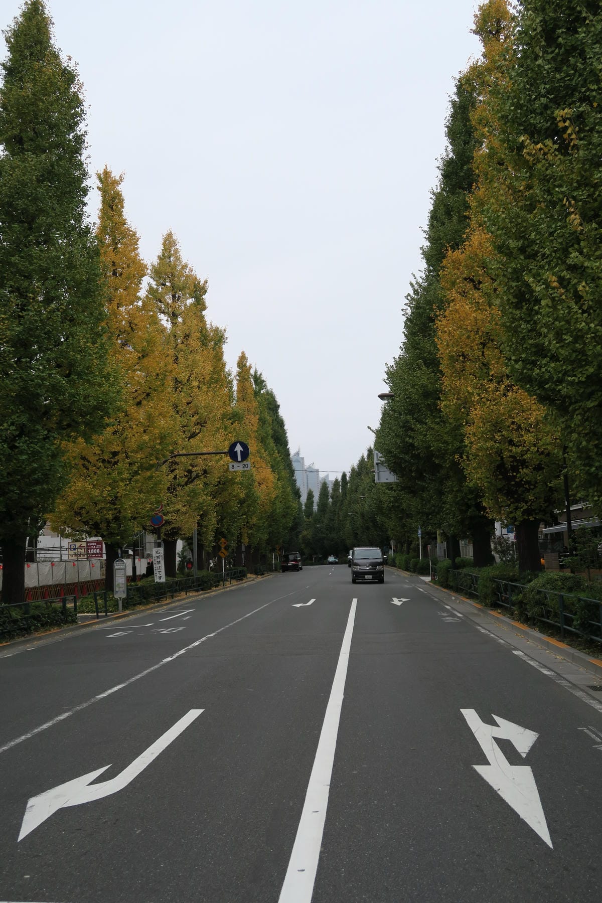 IMG_1205 IMG_1205