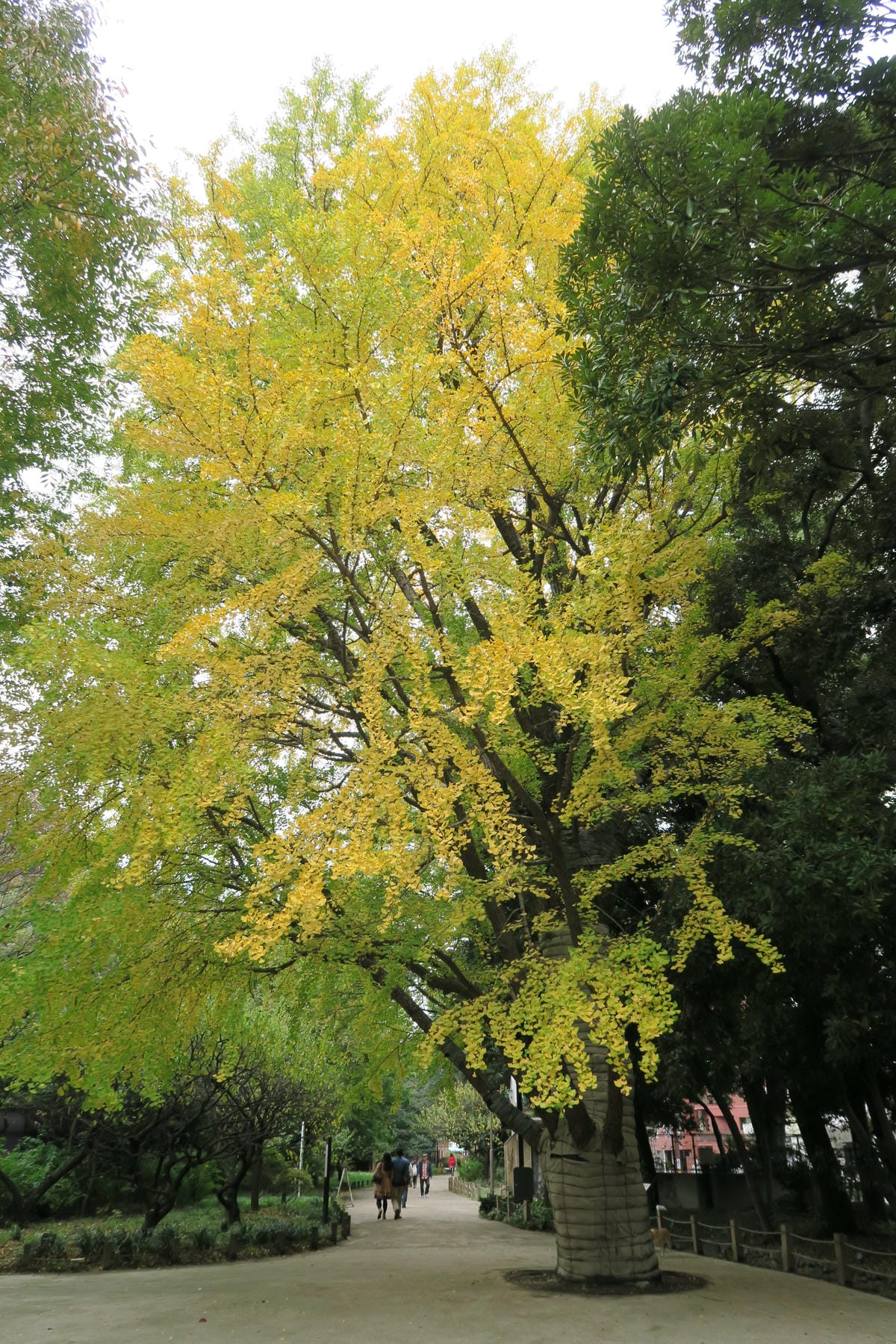 IMG_1079 IMG_1079