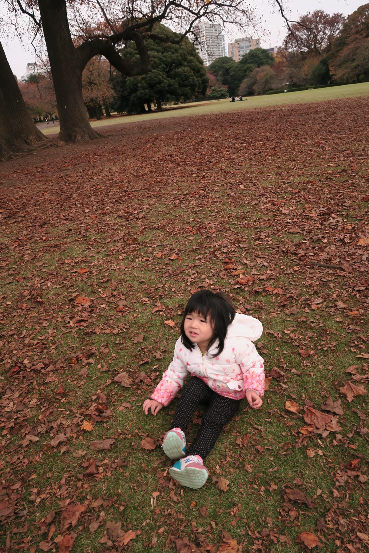 IMG_1133 IMG_1133