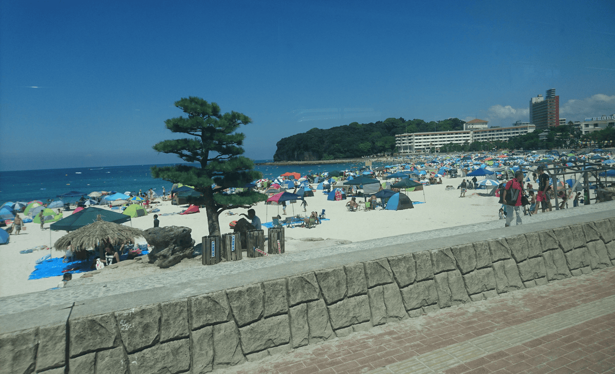 DSC_0224.png DSC_0224.png